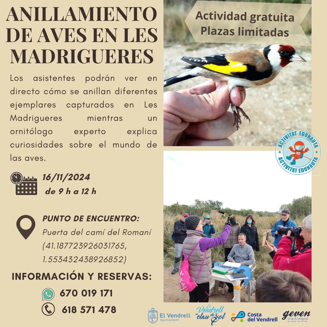 ANILLAMIENTO DE AVES EN LES MADRIGUERES 29