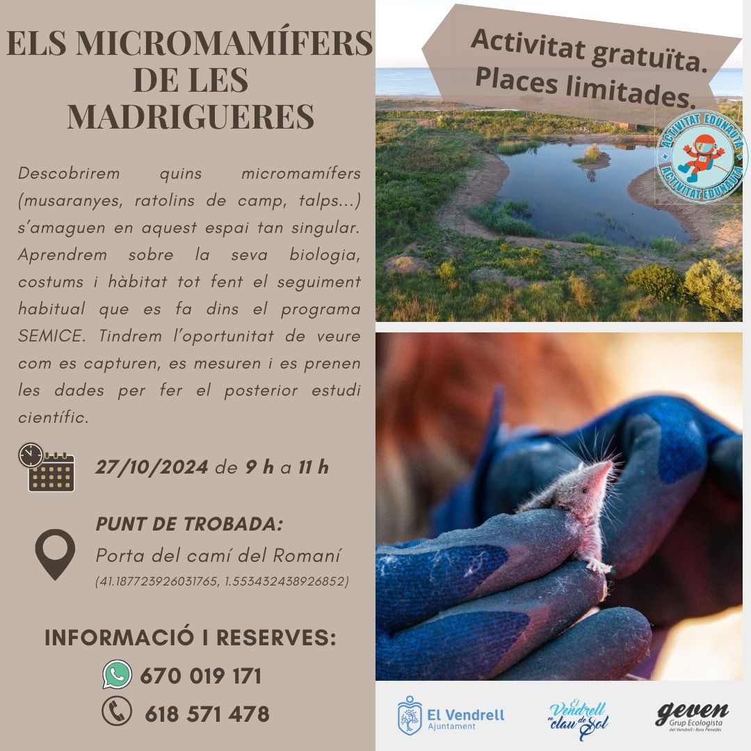 ELS MICROMAMÍFERS DE LES MADRIGUERES 27