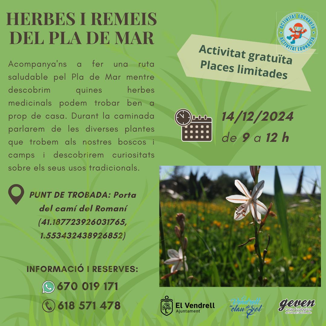 HIERBAS Y REMEDIOS DEL PLA DE MAR 27