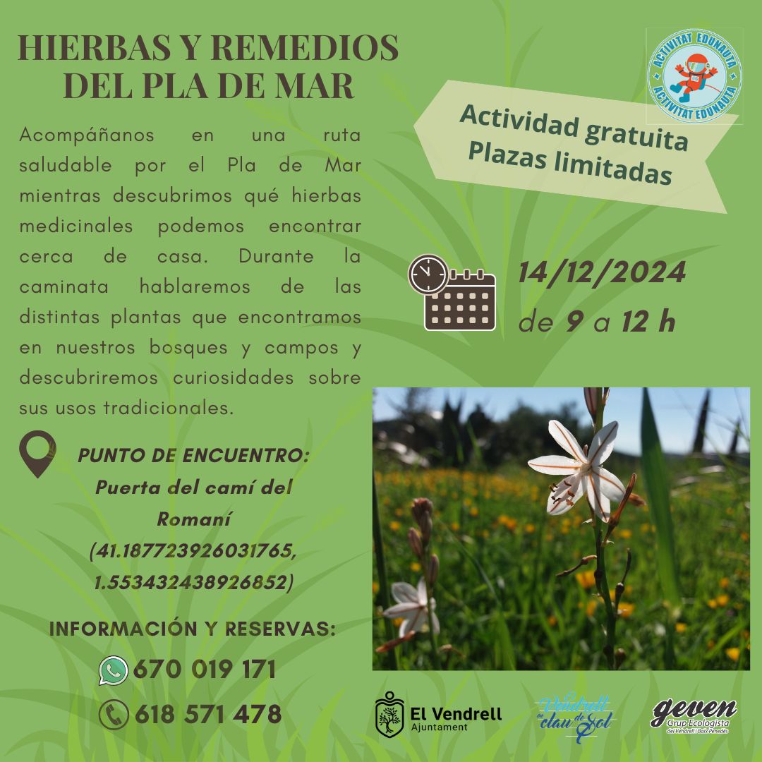 HIERBAS Y REMEDIOS DEL PLA DE MAR 29